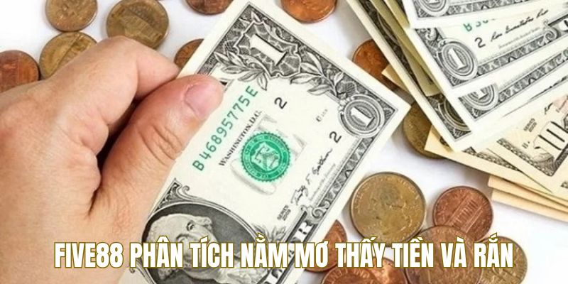 Nằm Mơ Thấy Tiền Tốt Hay Xấu? Five88 Giải Thích Ý Nghĩa 3 Five88 phân tích nằm mơ thấy tiền và rắn